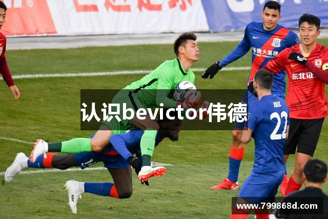 认识bevictor伟德